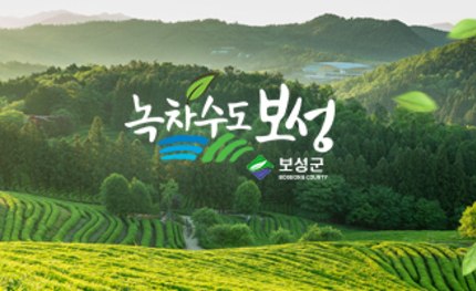 보성군 홈페이지 통합 재구축