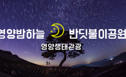 영양밤하늘 반딧불이공원